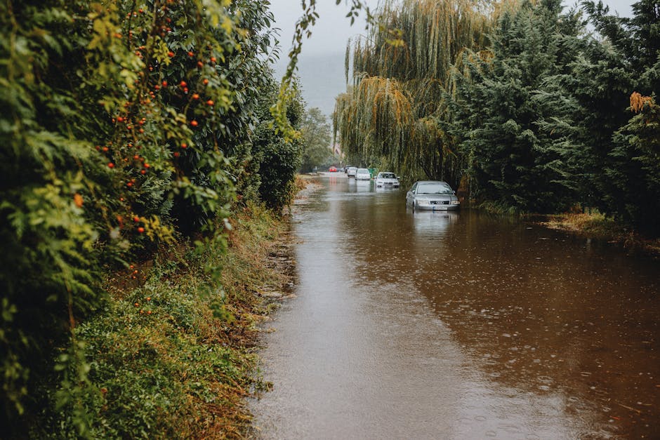 What impact does climate have on agriculture?