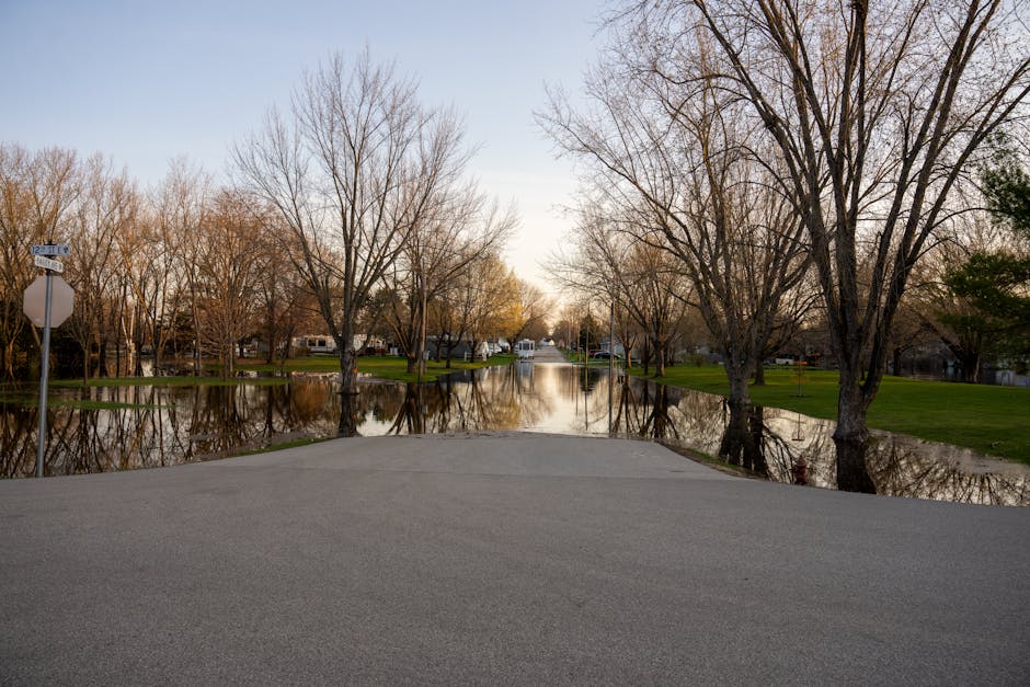 What are the signs of a changing climate?