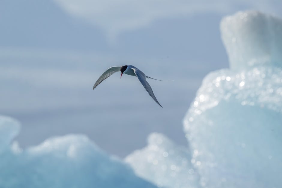 How does wind affect ocean currents?