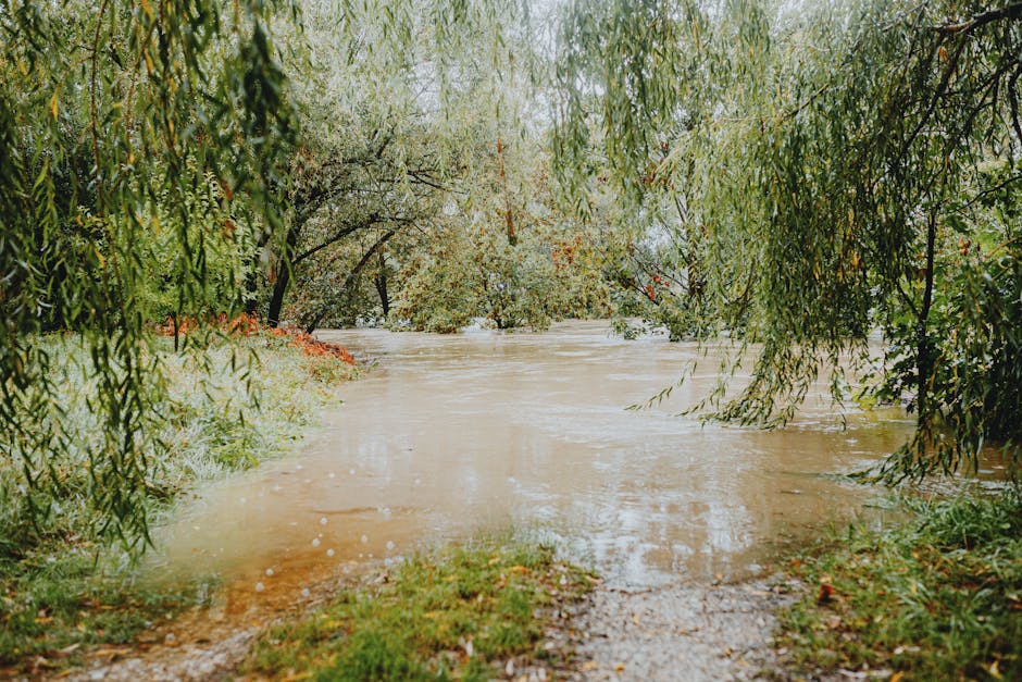 Why do monsoons occur in certain regions?