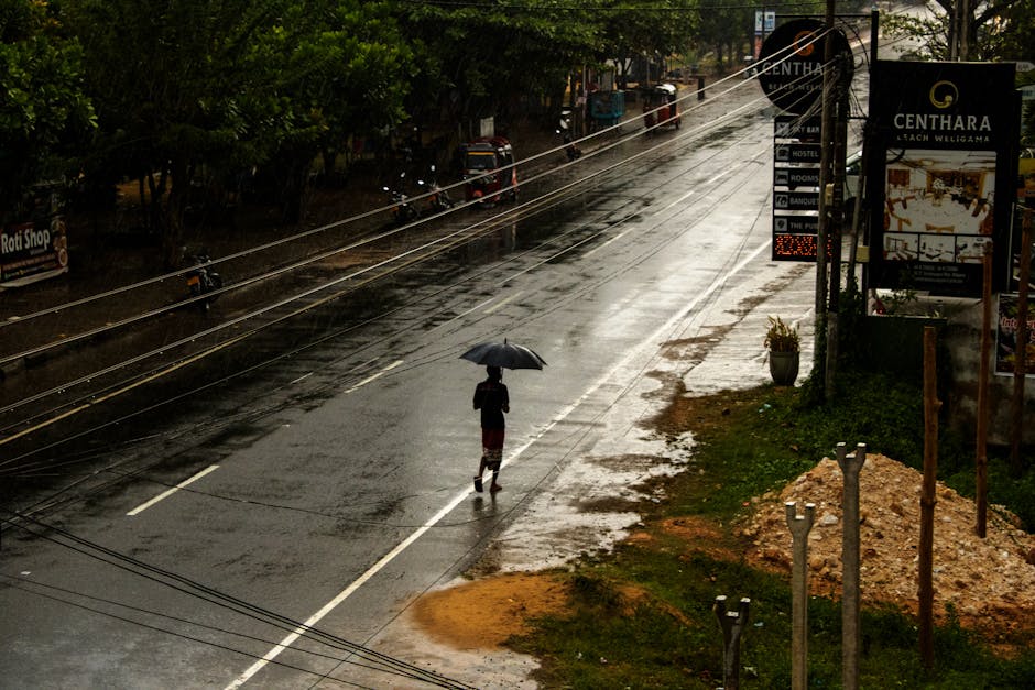 How has rainfall changed over time?